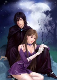 奸臣与权妃