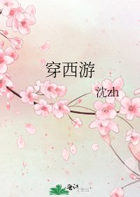 穿西游